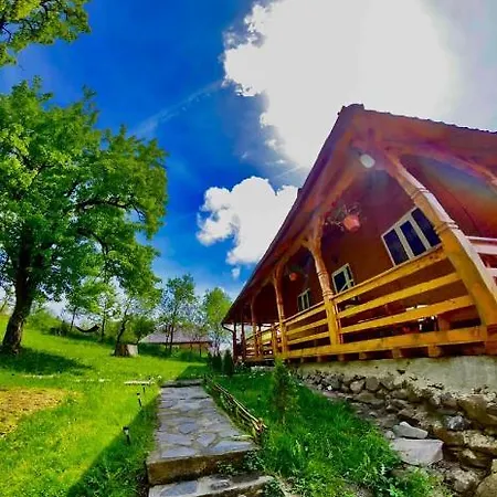 Casa Leca 3*