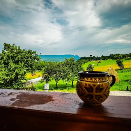 Casa Leca Guest house 3*